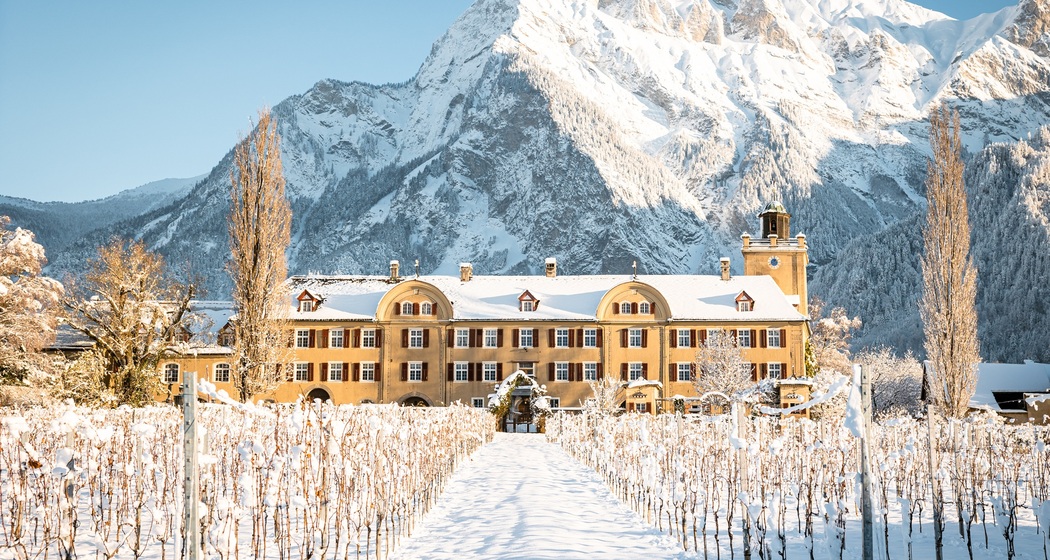 Weingut Schloss Salenegg (ctd_753c734e-963f-4b8b-ae3a-21fd0ae8bbc7_winter)
