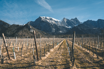 Winery Davaz (ctd_76f4871_winter)