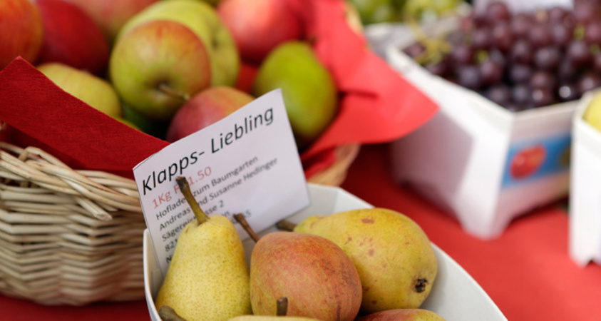 Hedinger's Öpfelparadies (ctd_7a9c3f3_image)