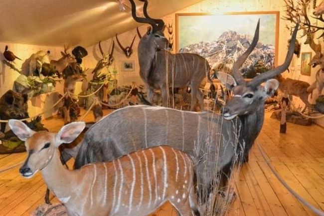 Jagdmuseum Vättis (ctd_7f36ca67-4cca-44b1-ba68-876d4201eec5_image)