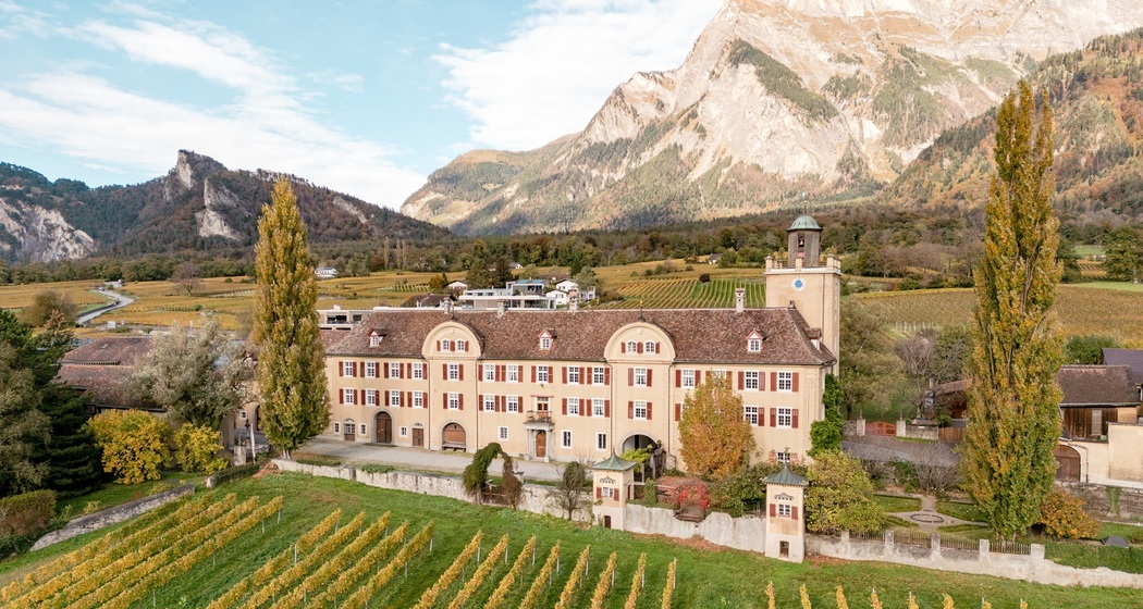 Weingut Schloss Salenegg (ctd_7f73ae3_image)
