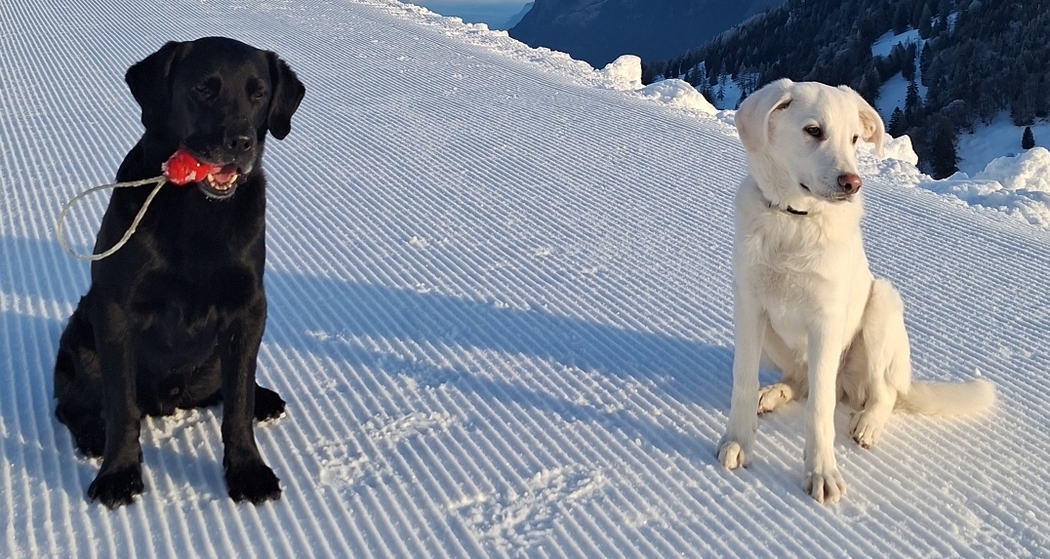 Skihüttli Golerberg (ctd_83cd51e2-4403-4b78-9cff-eed27d56dec8_img01)