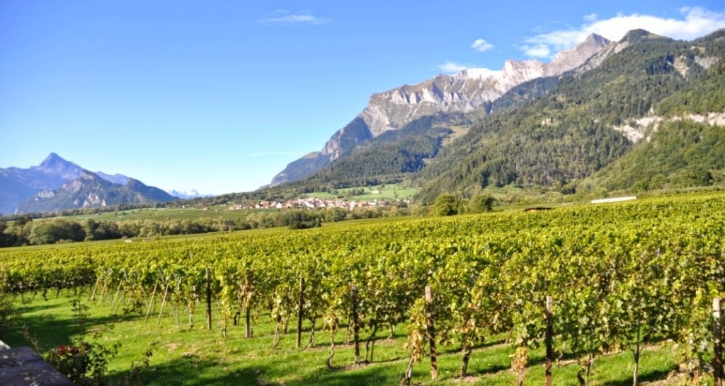 Weingut Anjan Boner (ctd_8410116_image)