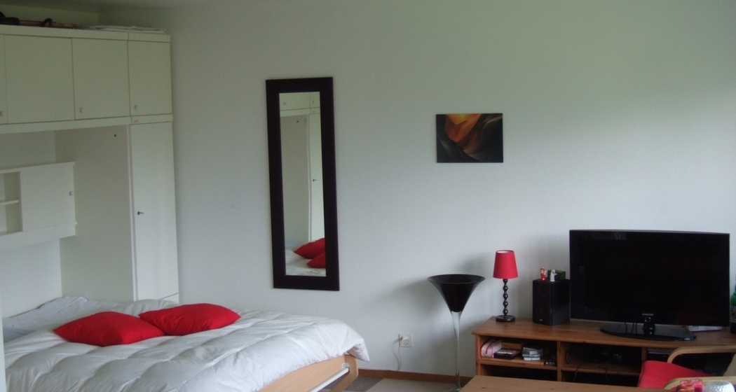 Gauenpark (Whg. Zürcher) (ctd_85fca628-9465-472a-8938-65009d583af3_image)