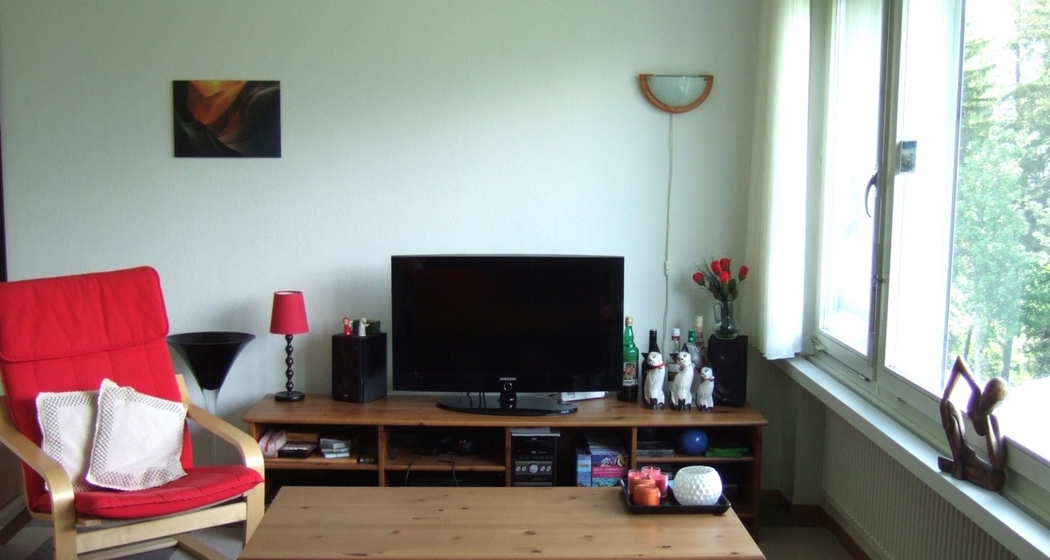 Gauenpark (Whg. Zürcher) (ctd_85fca628-9465-472a-8938-65009d583af3_img02)