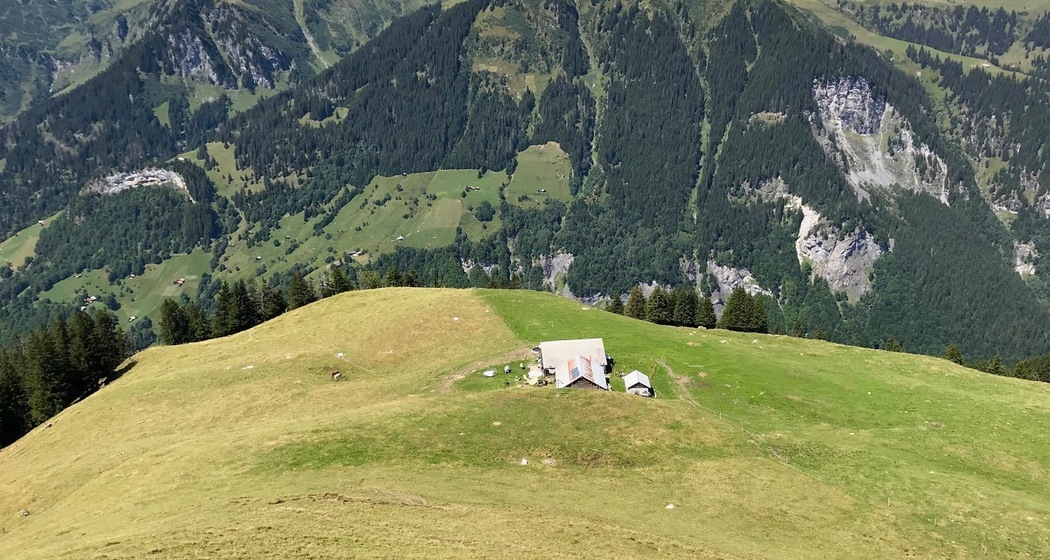 Gafarrabüel (ctd_8cd15912-9292-487f-a907-558cf9892e1a_image)