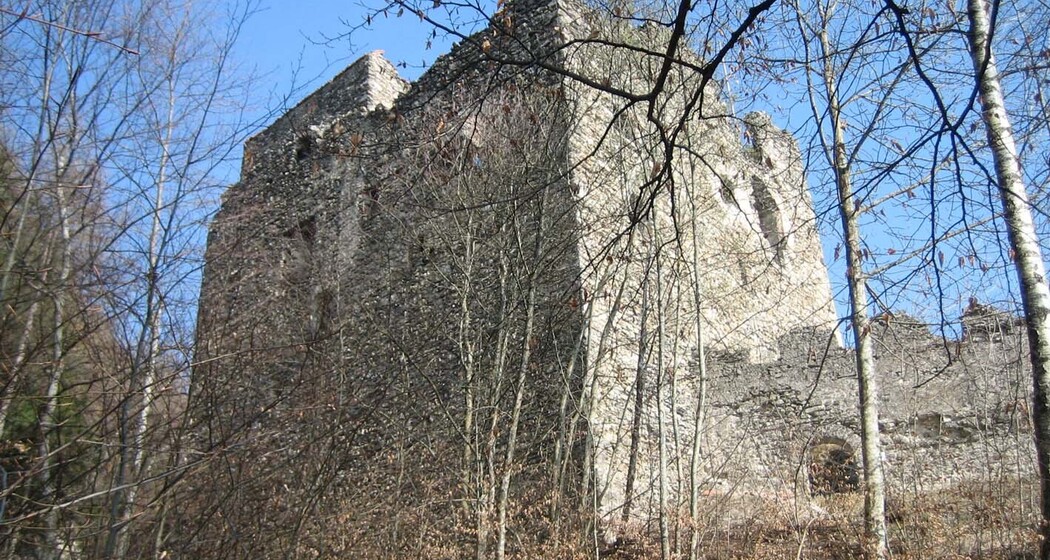 Burganlage Neu-Aspermont (ctd_8d942e32-50a0-4956-b517-02d47599afc0_image)