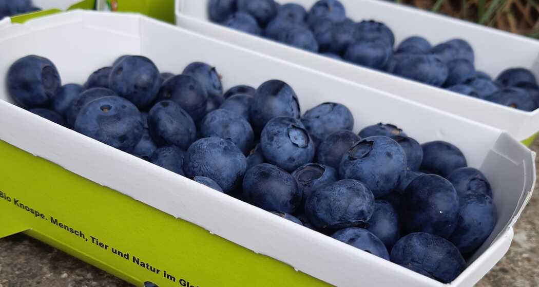 Hof Entenbach (ctd_95fdee83-2c45-4a1e-b0a5-cbff71179b80_img01)