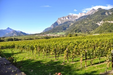 Weingut Anjan Boner (ctd_9d155251-1f26-4400-801a-8b7eb6d0907a_image)