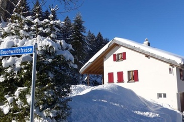 Chalet Rehwiesli (ctd_9ec47b2_image)