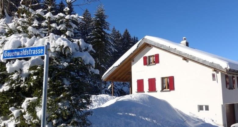 Chalet Rehwiesli (ctd_9ec47b2_image)