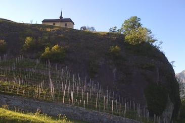 Porta Romana (ctd_a030f6a5-1ca0-46a2-bcb8-828bc2229c63_image)