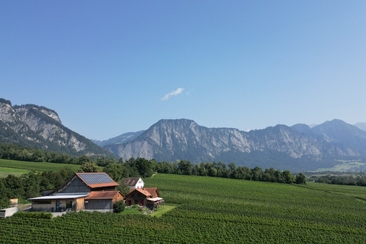 Winery Liesch Weine AG, Ueli & Juerg Liesch (ctd_a66dfa9b-17fa-4790-922a-2aceafb0d12c_image)