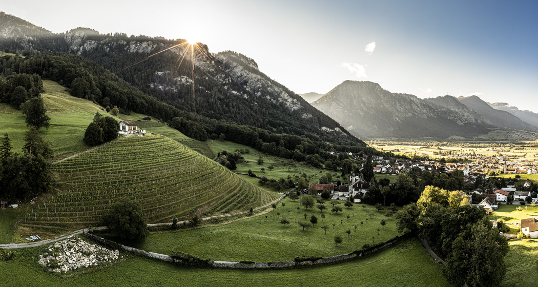 Weingut Wegelin (ctd_a698f7c_img01)