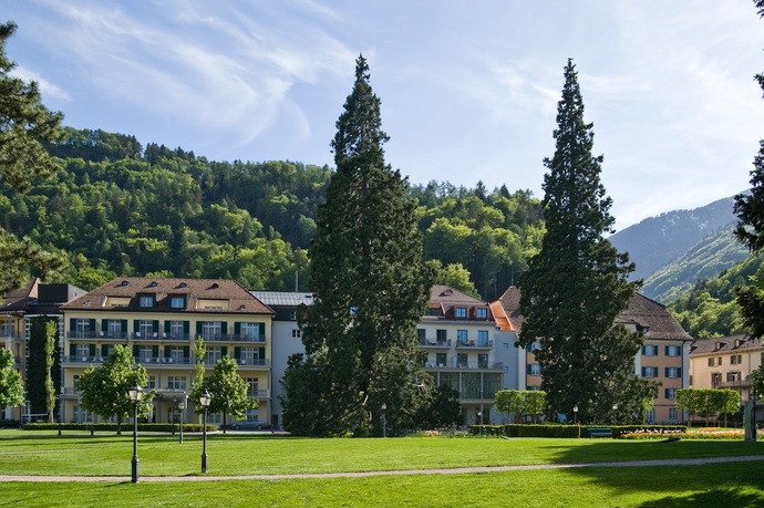 Sequoia-Bäume (ctd_a727ba6c-c524-4c8c-b556-7f22e54f0fae_image)