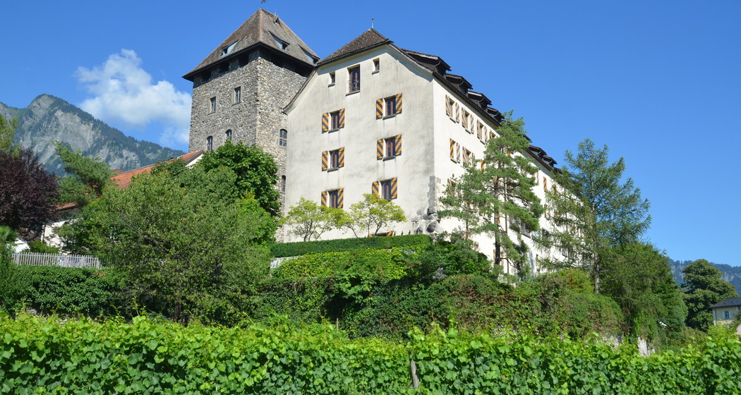 Schloss Maienfeld (ctd_a7b893f1-31ea-489d-a729-c7f31f4d6d16_image)