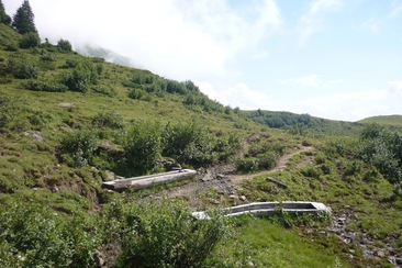 Quelle (ctd_ab113f8e-033d-4b76-803f-ccc308215d46_image)