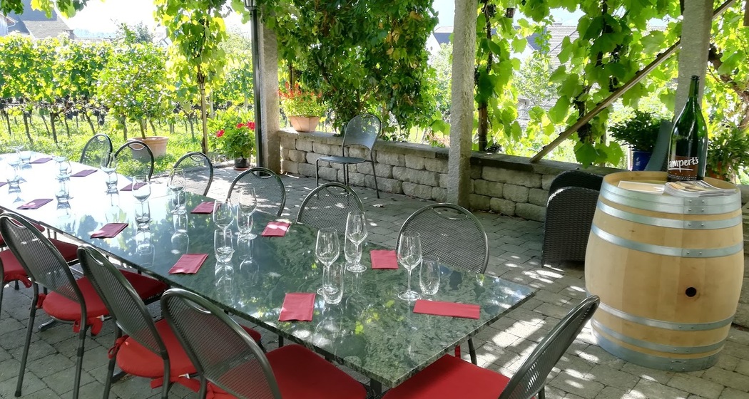 Weingut Heidelberg, Maienfeld (ctd_abd46cb_image)