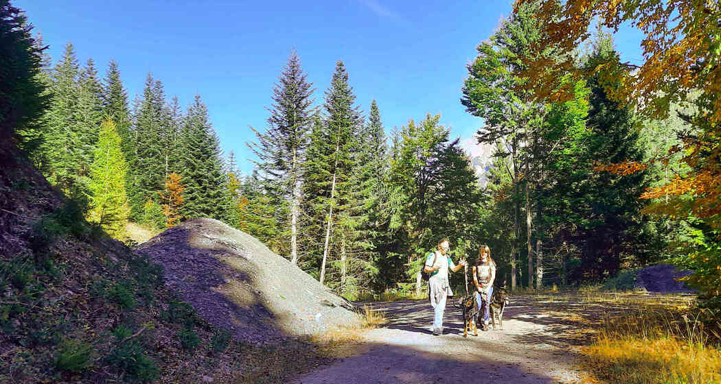 Berggasthaus Eggwald (ctd_af3b8400-d29a-401a-8757-fd754d43dcaf_img02)