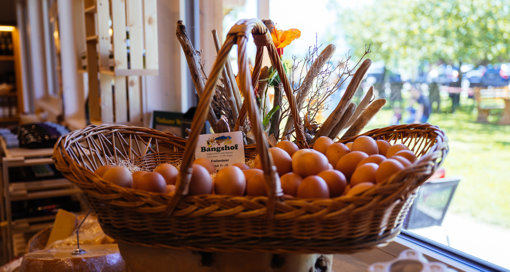 Großer Weidenkorb mit frischen Eiern aus Freilandhaltung im Hofladen Bangshof – regionale Qualität direkt vom Bauernhof.