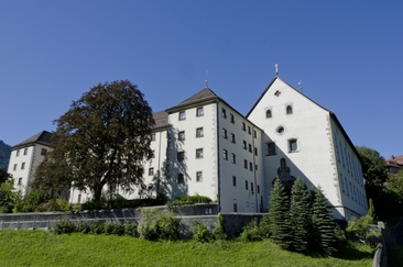 Buche (ctd_bf05e150-14be-4bca-9065-d306ec0d0727_image)