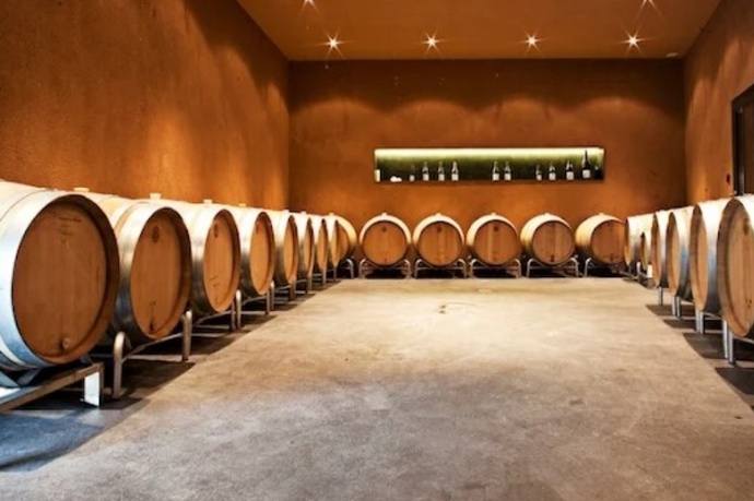 Jann & Sarah Marugg Weinbau, Fläsch (ctd_c0902c72-086c-4398-98f5-154d7dbb846e_image)