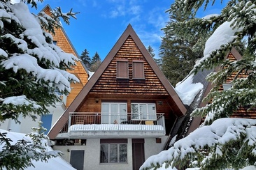 Ferienhaus Dreispitz (ctd_c2e5ab42-87b5-4933-a5b7-3e95744238c1_image)