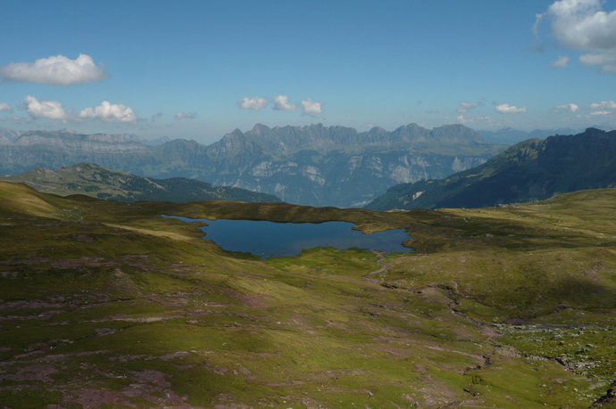 Maadseeli (ctd_c38f957e-caaa-4975-95cc-0f1c76480cf6_image)