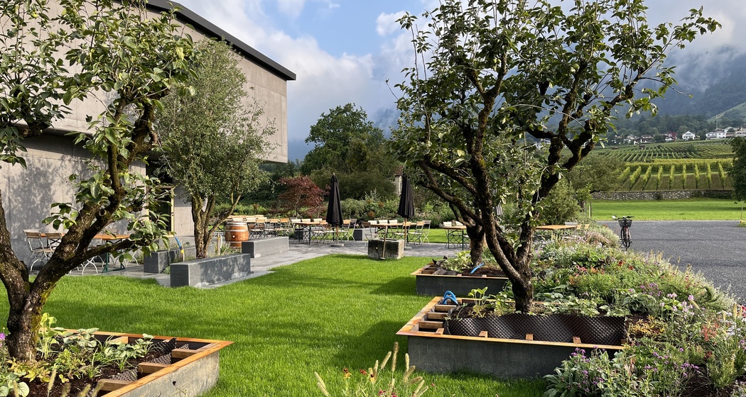 Weingut Fromm, Malans (ctd_c675b433-382e-4ac0-a258-a3fa594ea333_image)