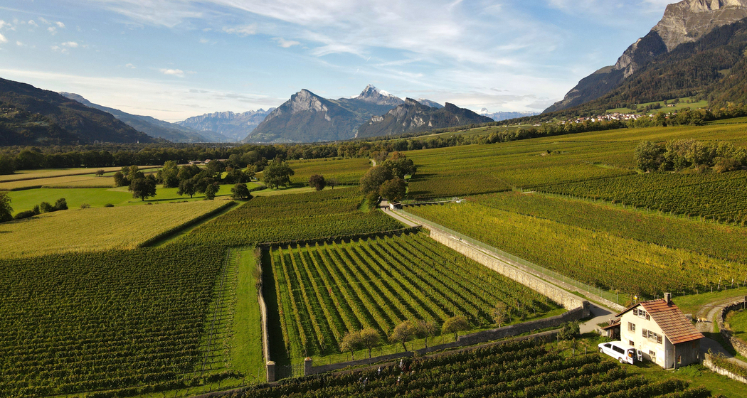 Weingut Fromm, Malans (ctd_c675b433-382e-4ac0-a258-a3fa594ea333_img01)