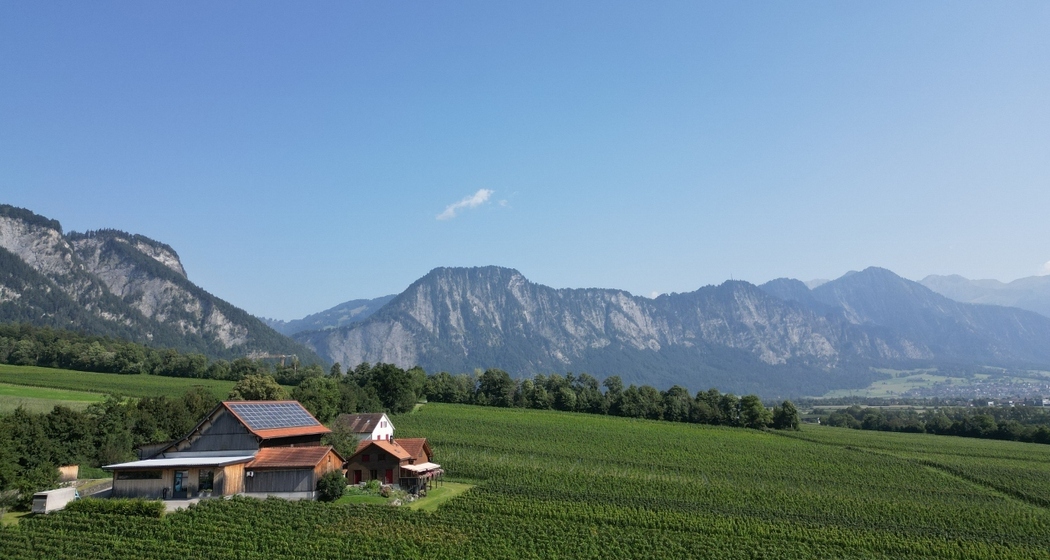 Liesch Weine AG, Ueli & Jürg Liesch (ctd_c75d017_image)