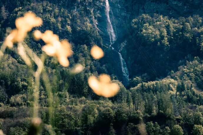 Ragnatscher Fall (ctd_c96ee797-35c9-4458-8f9b-87f2b4d4027e_image)