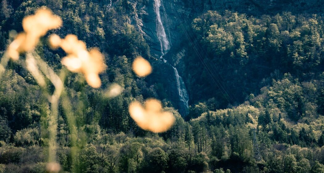 Ragnatscher Fall (ctd_c96ee797-35c9-4458-8f9b-87f2b4d4027e_image)