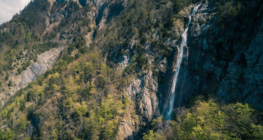 Ragnatscher Fall (ctd_c96ee797-35c9-4458-8f9b-87f2b4d4027e_img01)