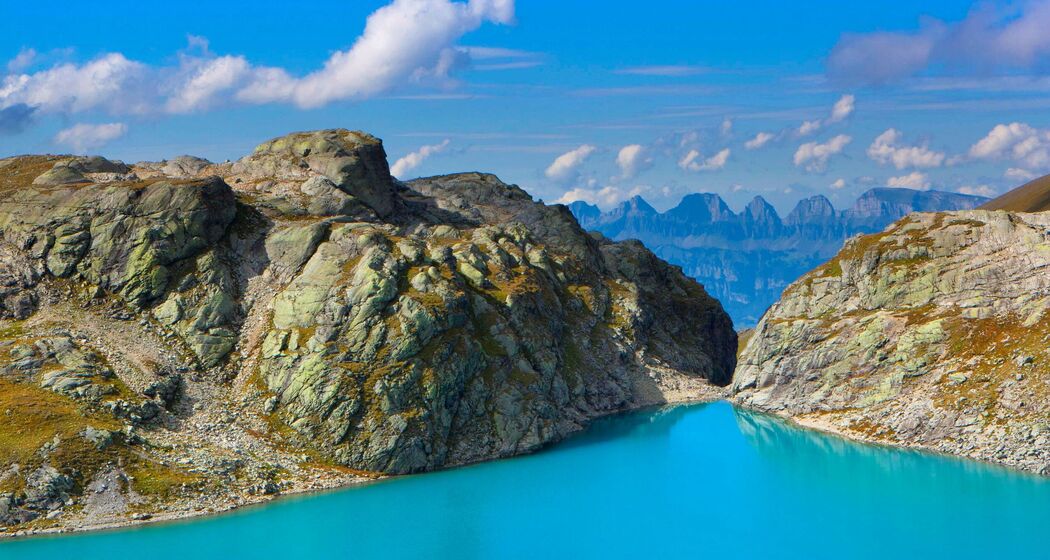 Wildsee (ctd_cb6cd4b4-8581-496d-af64-2fb507951962_image)