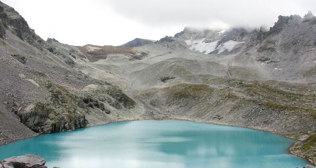 Wildsee (ctd_cb6cd4b4-8581-496d-af64-2fb507951962_img02)