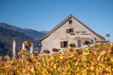 Alter Torkel - Huus vom Bündner Wii (ctd_d01f1d76-227d-4594-b23e-9a5319a5f8fb_image)