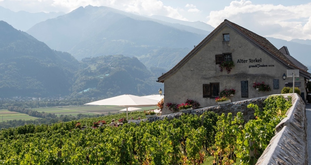 Alter Torkel - Huus vom Bündner Wii (ctd_d01f1d76-227d-4594-b23e-9a5319a5f8fb_img01)