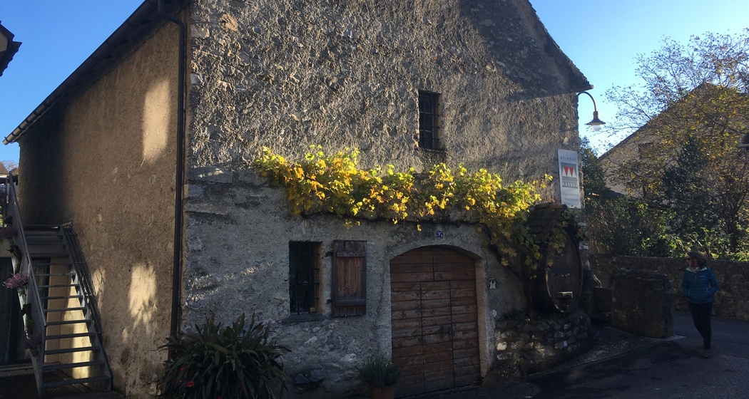 Torkel Marugg (ctd_d0afa35_img01)