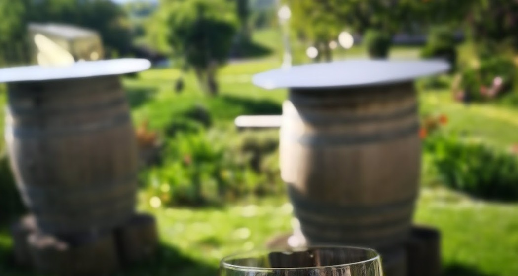 Ernas Törkali (ctd_d0bc22c_image)