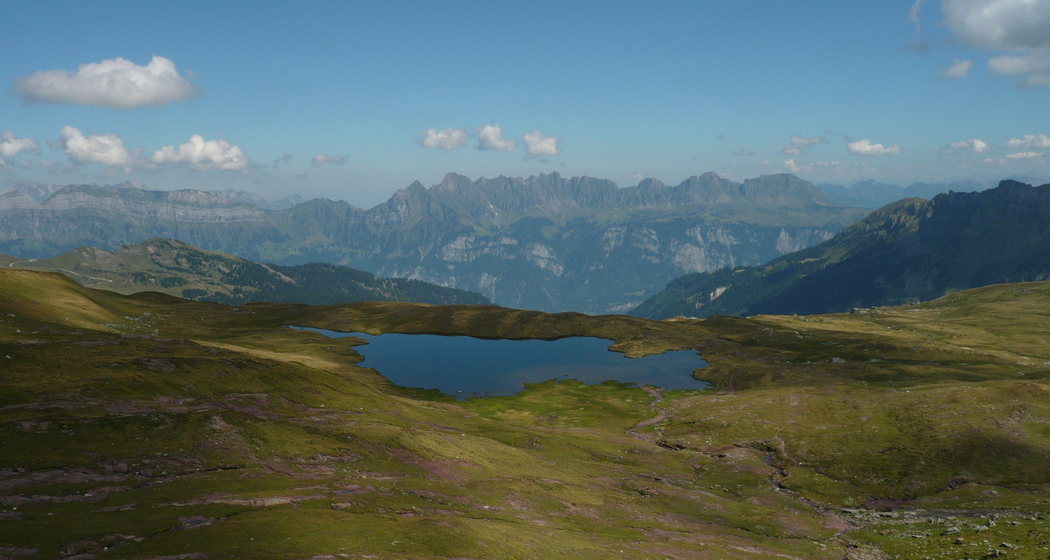 Maadseeli (ctd_d154a03_image)