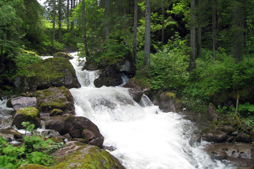 Gsponbachfall (ctd_d2dabc41-c1ac-471d-bb75-400b4db0c302_image)