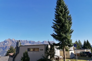 Ferienwohnung Fluba (ctd_d3501a49-5531-4165-914e-693f98de2020_image)