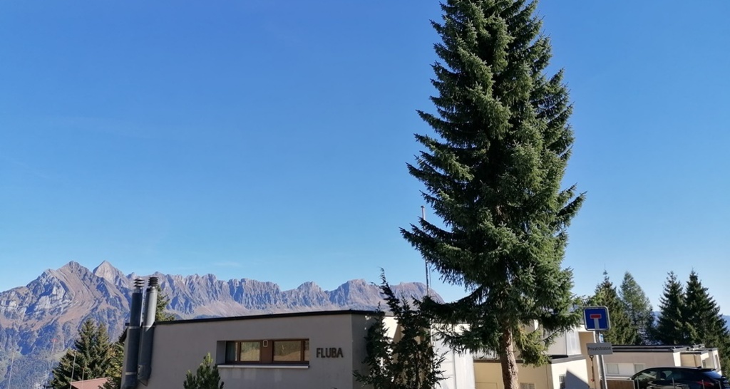 Ferienwohnung Fluba (ctd_d3501a49-5531-4165-914e-693f98de2020_image)