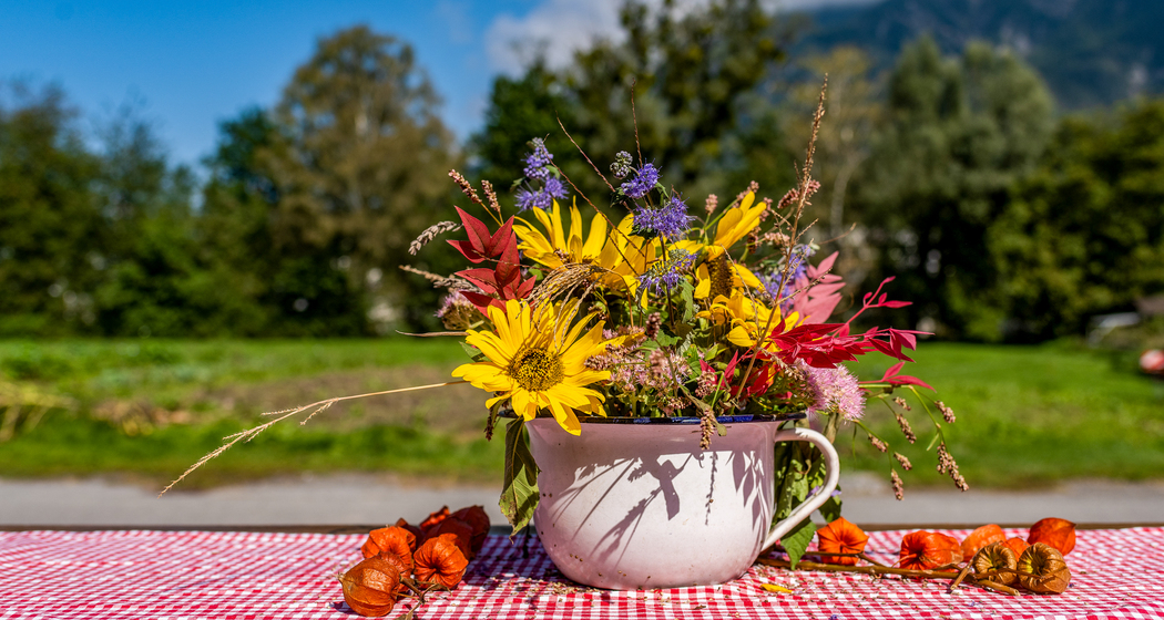 Bunter Blumenstrauß in einer nostalgischen Tasse auf dem Neufeldhof in Liechtenstein – regionale Idylle mit Alpenblick.