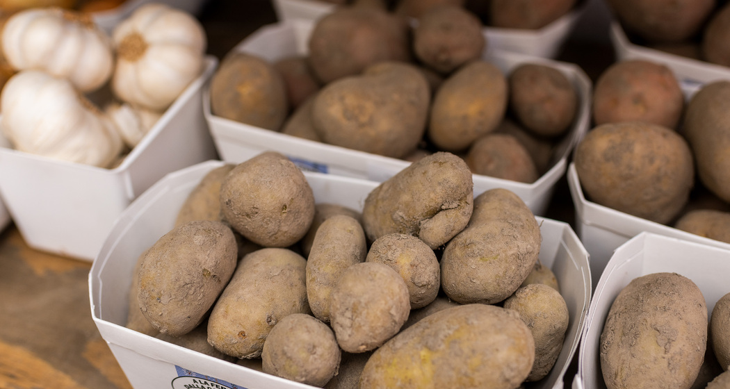 Frisch geerntete Kartoffeln aus eigener Produktion im Hofladen des Neufeldhofs – regional und naturbelassen.