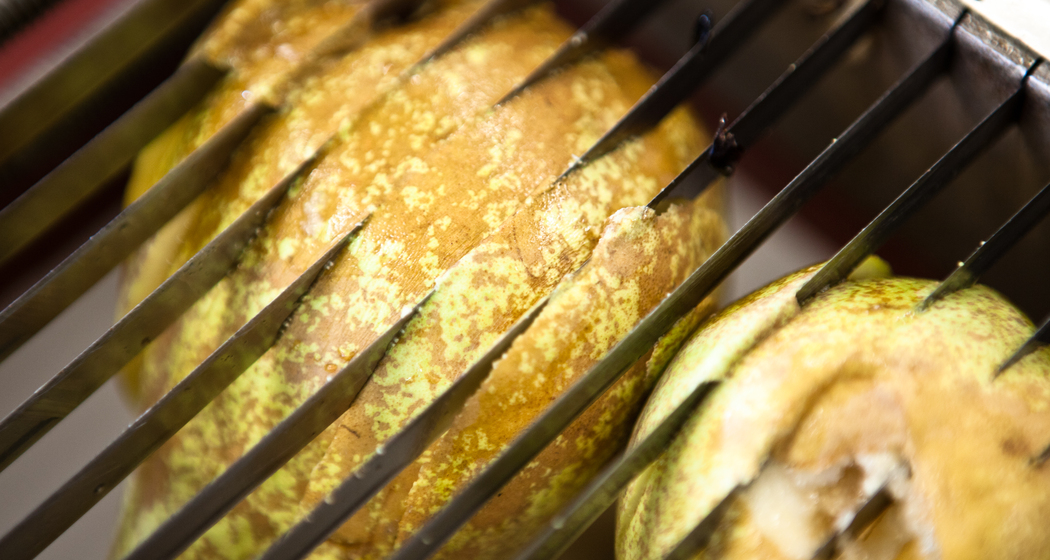 Öpfelfarm (ctd_d64cd5cc-7555-4225-92da-70dbcda9c2b0_img02)