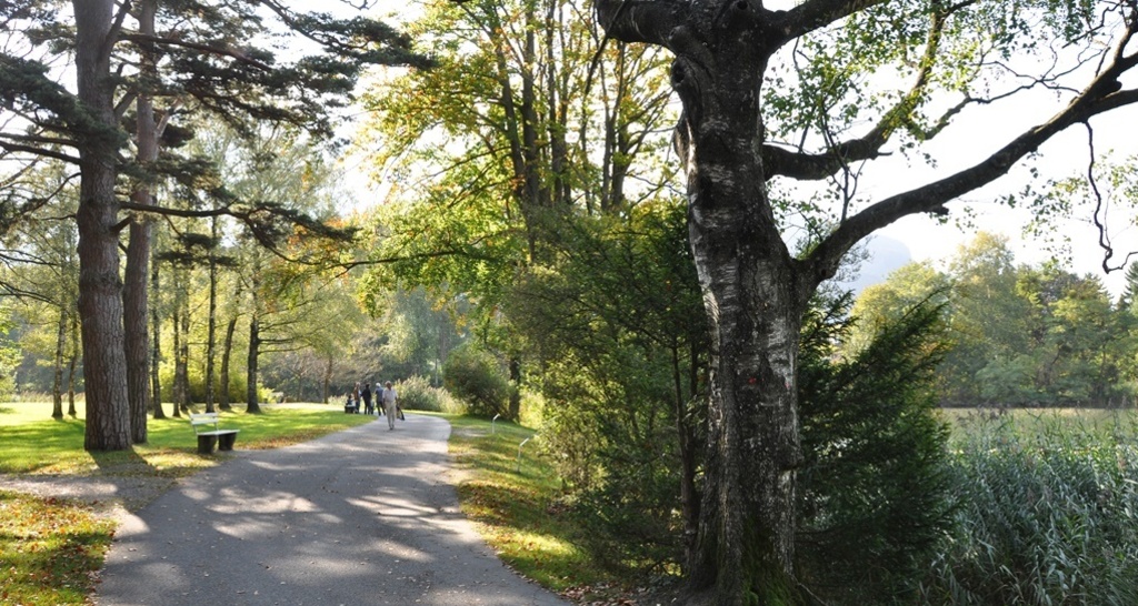 Giessenpark & Giessensee (ctd_d8629471-64b8-4922-abfd-39d5cab0b0a8_img02)