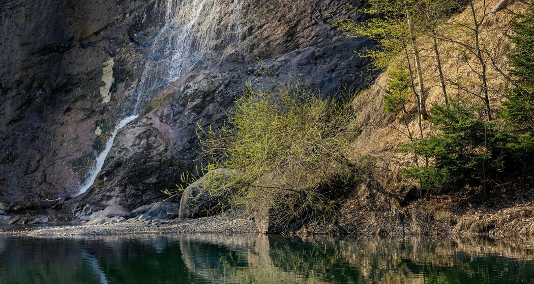 Saarfall (ctd_ddba5ef2-39fc-418b-8356-7118c785c59c_image)