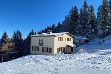 Ferienhaus Dreitann (ctd_e4c3063_winter)